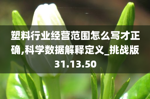 塑料行业经营范围怎么写才正确,科学数据解释定义_挑战版31.13.50