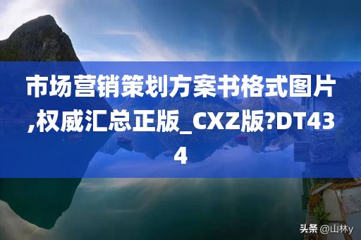 市场营销策划方案书格式图片,权威汇总正版_CXZ版?DT434