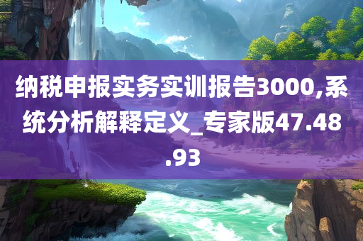 纳税申报实务实训报告3000,系统分析解释定义_专家版47.48.93