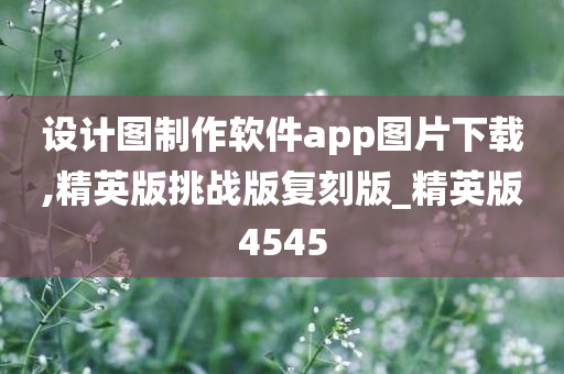 设计图制作软件app图片下载,精英版挑战版复刻版_精英版4545