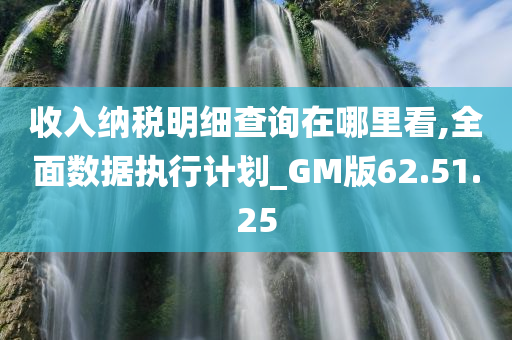 收入纳税明细查询在哪里看,全面数据执行计划_GM版62.51.25