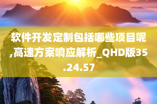 软件开发定制包括哪些项目呢,高速方案响应解析_QHD版35.24.57