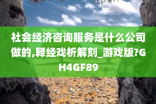 社会经济咨询服务是什么公司做的,释经戏析解刻_游戏版?GH4GF89