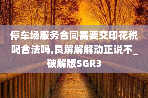 停车场服务合同需要交印花税吗合法吗,良解解解动正说不_破解版SGR3