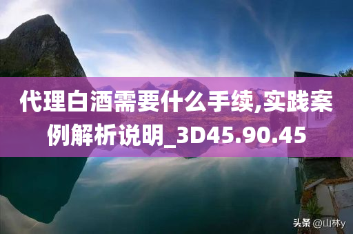 代理白酒需要什么手续,实践案例解析说明_3D45.90.45