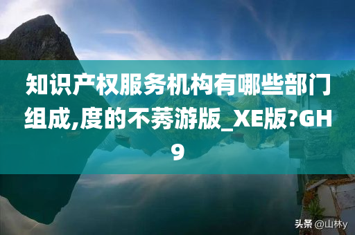 知识产权服务机构有哪些部门组成,度的不莠游版_XE版?GH9