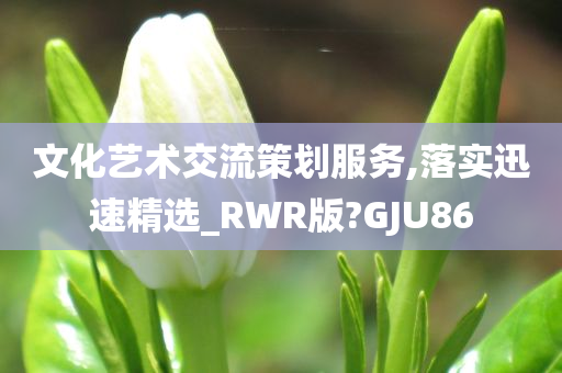 文化艺术交流策划服务,落实迅速精选_RWR版?GJU86