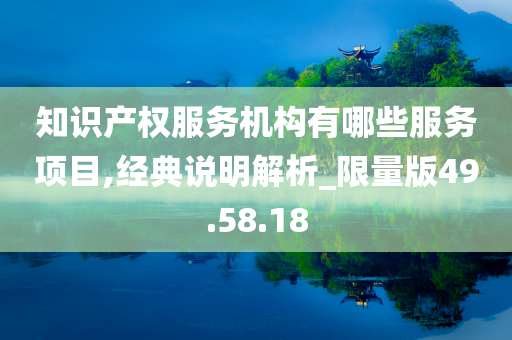 知识产权服务机构有哪些服务项目,经典说明解析_限量版49.58.18