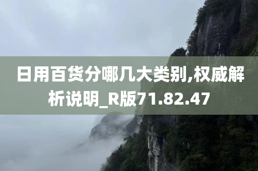 日用百货分哪几大类别,权威解析说明_R版71.82.47