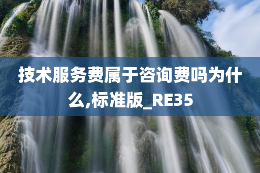 技术服务费属于咨询费吗为什么,标准版_RE35