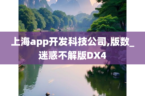 上海app开发科技公司,版数_迷惑不解版DX4