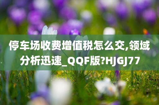 停车场收费增值税怎么交,领域分析迅速_QQF版?HJGJ77