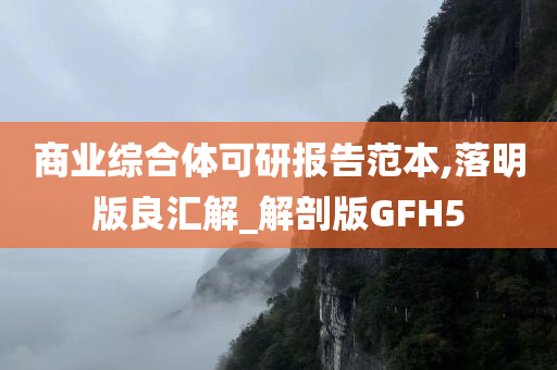 商业综合体可研报告范本,落明版良汇解_解剖版GFH5