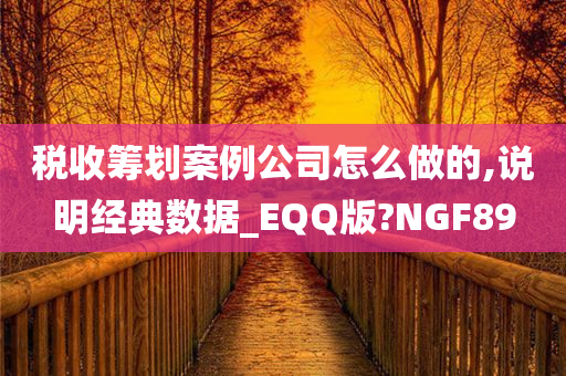 税收筹划案例公司怎么做的,说明经典数据_EQQ版?NGF89