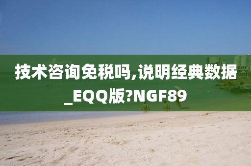 技术咨询免税吗,说明经典数据_EQQ版?NGF89