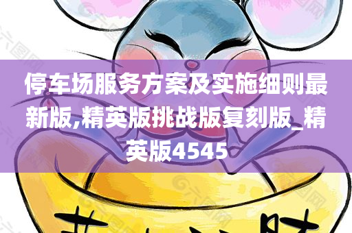 停车场服务方案及实施细则最新版,精英版挑战版复刻版_精英版4545