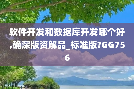 软件开发和数据库开发哪个好,确深版资解品_标准版?GG756