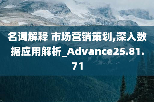 名词解释 市场营销策划,深入数据应用解析_Advance25.81.71