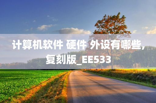 计算机软件 硬件 外设有哪些,复刻版_EE533