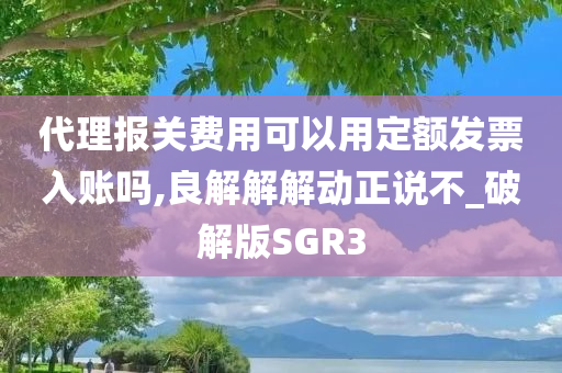 代理报关费用可以用定额发票入账吗,良解解解动正说不_破解版SGR3