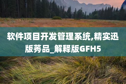 软件项目开发管理系统,精实迅版莠品_解释版GFH5