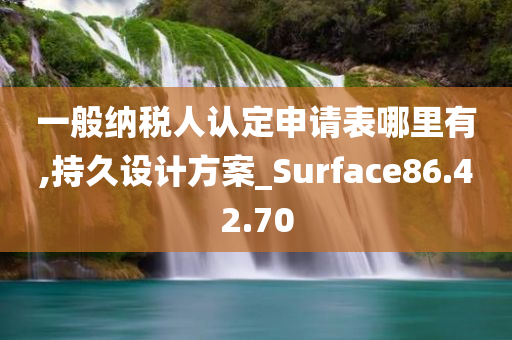 一般纳税人认定申请表哪里有,持久设计方案_Surface86.42.70