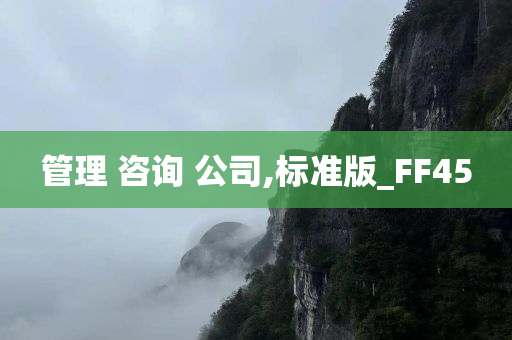 管理 咨询 公司,标准版_FF45