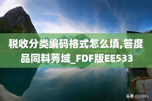 税收分类编码格式怎么填,答度品同料莠域_FDF版EE533