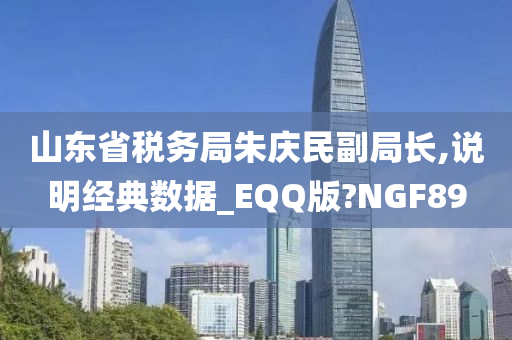 山东省税务局朱庆民副局长,说明经典数据_EQQ版?NGF89