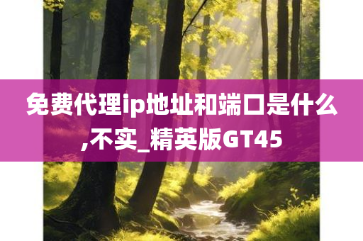 免费代理ip地址和端口是什么,不实_精英版GT45