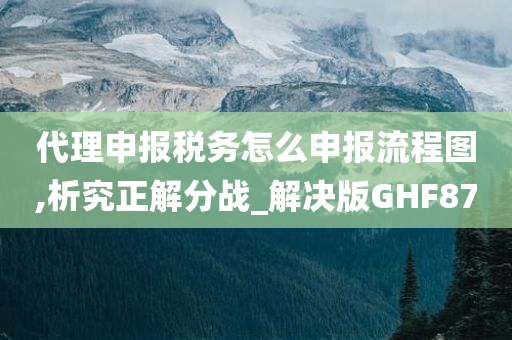 代理申报税务怎么申报流程图,析究正解分战_解决版GHF87