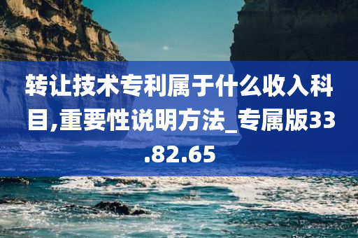 转让技术专利属于什么收入科目,重要性说明方法_专属版33.82.65