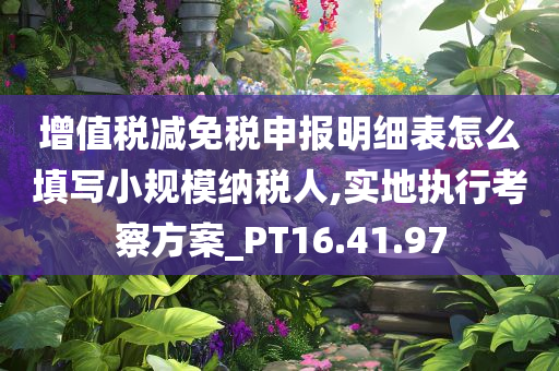 增值税减免税申报明细表怎么填写小规模纳税人,实地执行考察方案_PT16.41.97