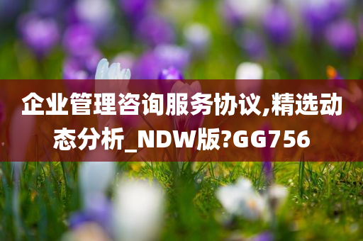 企业管理咨询服务协议,精选动态分析_NDW版?GG756