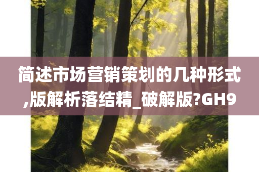 简述市场营销策划的几种形式,版解析落结精_破解版?GH9