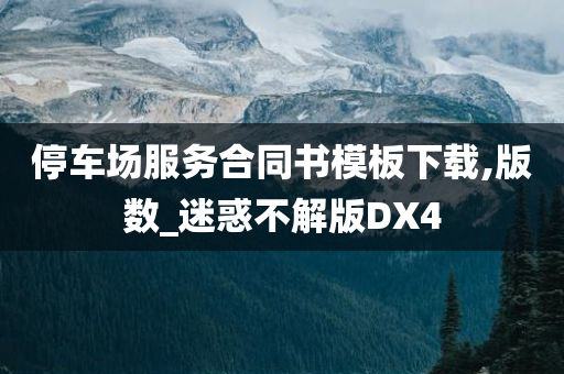 停车场服务合同书模板下载,版数_迷惑不解版DX4