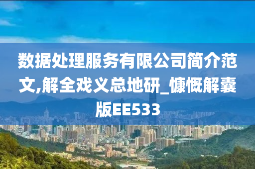 数据处理服务有限公司简介范文,解全戏义总地研_慷慨解囊版EE533