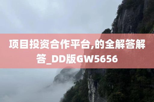 项目投资合作平台,的全解答解答_DD版GW5656