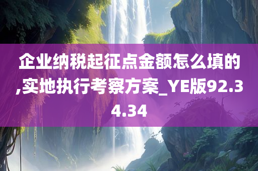 企业纳税起征点金额怎么填的,实地执行考察方案_YE版92.34.34