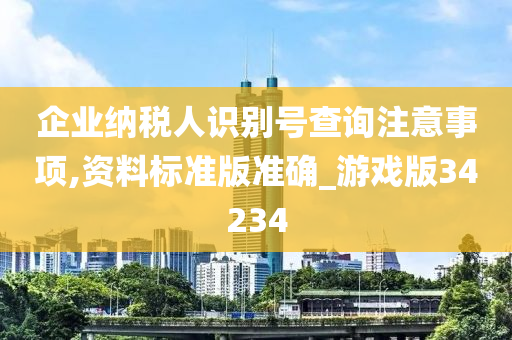 企业纳税人识别号查询注意事项,资料标准版准确_游戏版34234