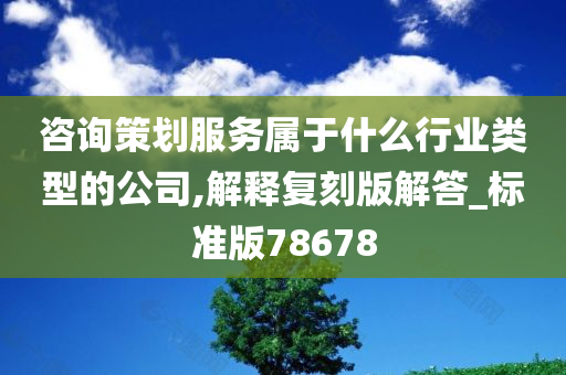 咨询策划服务属于什么行业类型的公司,解释复刻版解答_标准版78678