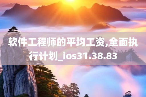 软件工程师的平均工资,全面执行计划_ios31.38.83