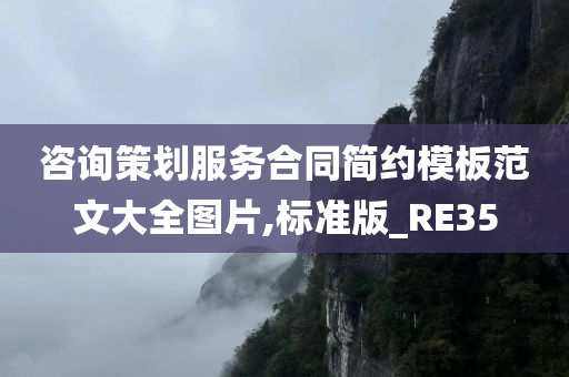 咨询策划服务合同简约模板范文大全图片,标准版_RE35