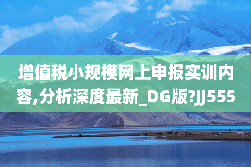 增值税小规模网上申报实训内容,分析深度最新_DG版?JJ555