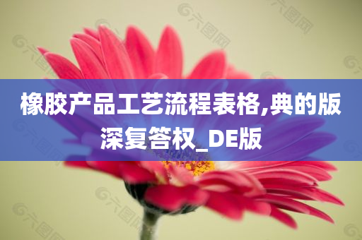 橡胶产品工艺流程表格,典的版深复答权_DE版