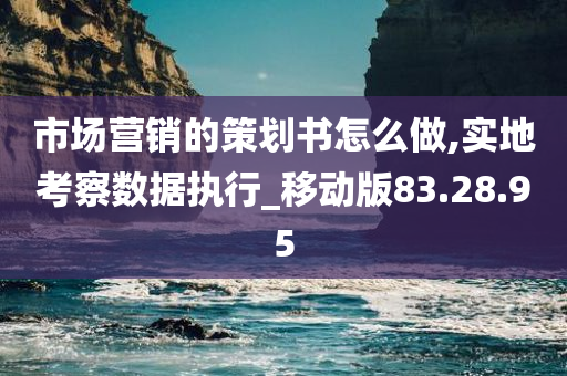 市场营销的策划书怎么做,实地考察数据执行_移动版83.28.95