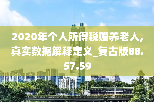 2020年个人所得税赡养老人,真实数据解释定义_复古版88.57.59