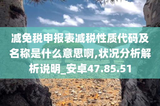 减免税申报表减税性质代码及名称是什么意思啊,状况分析解析说明_安卓47.85.51