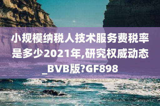 小规模纳税人技术服务费税率是多少2021年,研究权威动态_BVB版?GF898