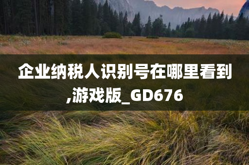 企业纳税人识别号在哪里看到,游戏版_GD676